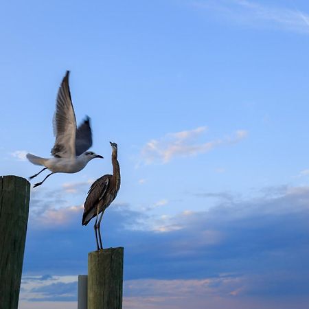 Forest Beach Villas Hilton Head Island Δωμάτιο φωτογραφία