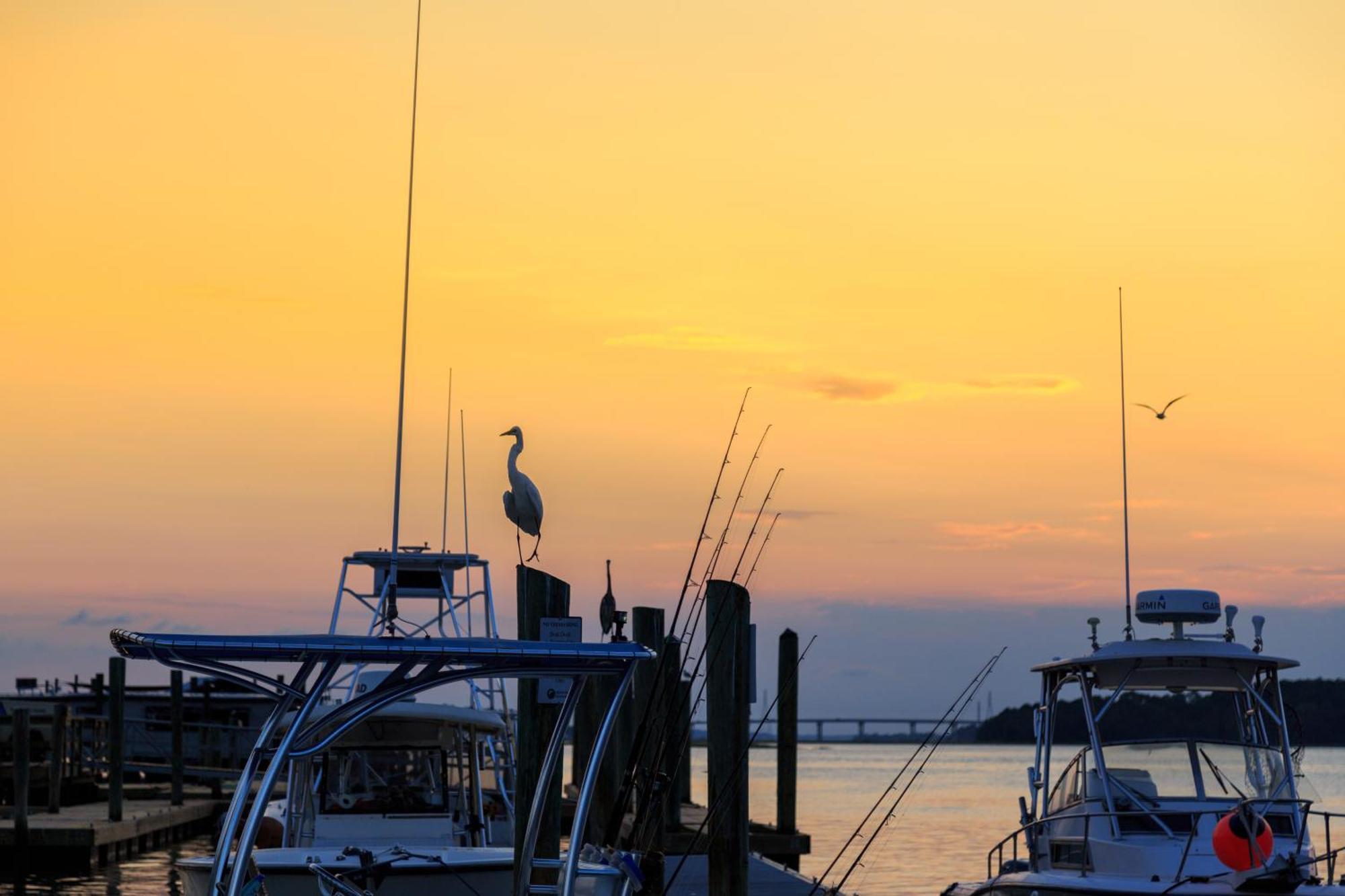 Forest Beach Villas Hilton Head Island Δωμάτιο φωτογραφία